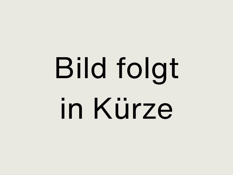 Kaltenbach Gruppe – In schwarzer Schrift auf hellgrauem Hintergrund steht Bild folgt in Kürze, was so viel heißt wie Bild kommt bald. – BMW, MINI, KIA, BMW Motorrad & Honda Motorrad Partner in NRW