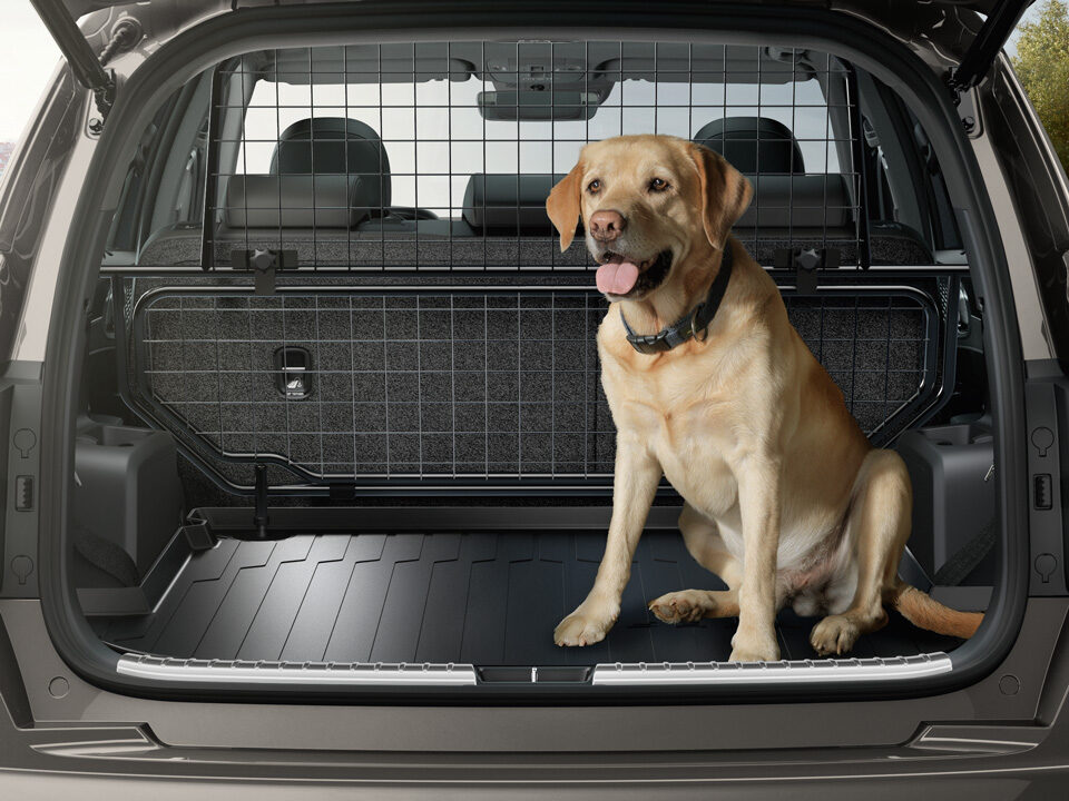 Kia Sorento Hundeschutz